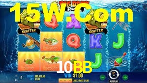Premium Interface 10BB